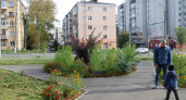 Владимир ждет масштабное озеленение в 2026 году 