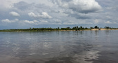 Владимирские реки признали самыми загрязненными в стране
