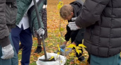 Владимирские школьники высадили сирень в сквере Чайковского