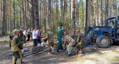 Во Владимирской области прошли акции по восстановлению лесов