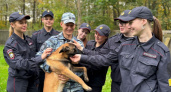 В Центре кинологической службы УМВД по Владимирской области прошли профориентационные занятия