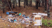 В Меленках нашли незаконную свалку возле водоема