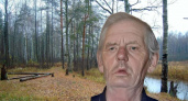 В Гусь-Хрустальном районе ищут пропавшего в лесу пенсионера