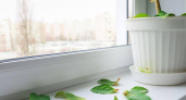 Как я отбелила пожелтевший пластиковый подоконник за 5 минут: помогло всего одно средство из ванной