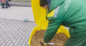 Владимирцы продолжают бросать мусор в уличные контейнеры для песко-соляной смеси
