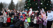 Во Владимире прошла первая благотворительная елка «Зажги по-доброму!»