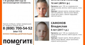 Во Владимирской области разыскивают двух пропавших братьев из Подмосковья