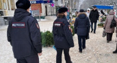 Во Владимире провели рейд по проверке елочных базаров