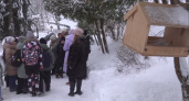 Юные натуралисты во Владимире учатся помогать птицам зимой