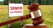 В Судогодском районе продадут с торгов изъятый у нерадивого собственника участок