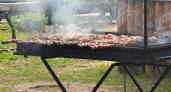 На даче или во дворе: где можно и нельзя жарить шашлыки в 2026 году - запомните перед майскими, чтобы не нарваться на штраф