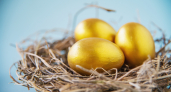 Ярче, чем от луковой шелухи: этот овощ окрасит яйца в цвет золота – крашенки приведут в восторг всех гостей