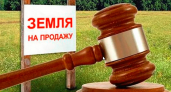 69 гектаров земли изъяли у собственницы участка в Александровском районе