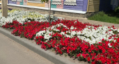 Владимирские улицы будут украшены тысячами цветов в 2026 году