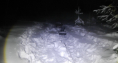 В Камешкове браконьер заплатит 100 тысяч рублей за добычу лося