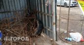 Мусорные операторы напомнили владимирцам и дачникам правила складирования ТКО