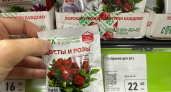 В Fix Price настал рай для дачников: мой список новинок для сада и огорода - разбирают пачками