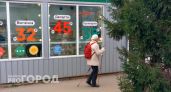 Владимирских добровольцев просят «подарить прогулку» маломобильным землякам