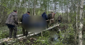 В лесу рядом с поселком Мезиновский обнаружили тело мужчины