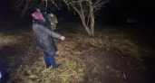 В Петушинском районе осудят женщину, лишившую жизни и закопавшую знакомого