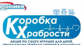 Сторонники «Единой России» собирают «Коробку храбрости»