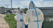 Во Владимире специалисты провели дератизацию на двух улицах 