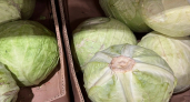 Дешёво и невероятно вкусно: как сделать из простой капусты изысканный горячий перекус