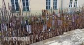 Владимирский Россельхознадзор провел ещё 16 рейдов по контролю продаж саженцев