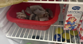 В детских садах Суздальского округа детей кормили небезопасными продуктами