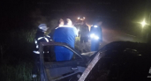 На трассе «Золотое кольцо» в Гусь-Хрустальном округе произошло ДТП с лосем
