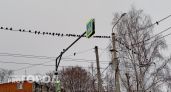 По требованию владимирского прокурора участок земли в городе подключили к сетям