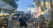 Погода будет издеваться с июня по август: синоптики озвучили обновлённый прогноз на лето-2026