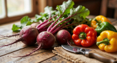 Сажаем рядышком и собираем двойной урожай: раздельные грядки больше не нужны — идеальный сосед для свёклы найден