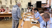 Жители Гороховецкого округа обратились к омбудсмену с вопросами землепользования