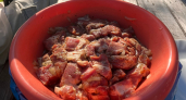 Не индейка и не баранина: ученые назвали мясо, которое в 10 раз лучше диетической курицы - рекордсмен по пользе и вкусу
