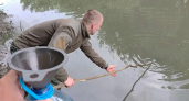 Рыбаки во Владимире самостоятельно исследовали воду после мора рыбы в реке Рпень
