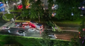 Ночной ураган во Владимире повалил деревья и повредил ЛЭП