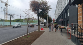 "Ваше жилье расскажет, насколько долгой будет ваша жизнь": взгляд японского профессора Кацудзо Ниши.