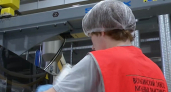 Во Владимирской области на это лето подготовлено около 4 тысяч рабочих мест для подростков 