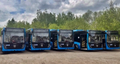 В Муром поступили 18 новых автобусов по нацпроекту