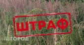 Владельцев земельных участков в двух районах 33-го региона оштрафовали повторно