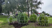 На въезде во Владимир появится необычная композиция из туй в форме церковных куполов