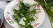 Ароматную петрушку и кинзу не морожу — запасаю кубиками: вкус на максимуме, цвет — как с грядки