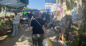 Лето-2026 преподнесло ещё не все сюрпризы: синоптики прогнозируют новую аномалию с 7 августа - предупреждение по регионам