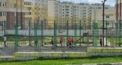  Во Владимирской области успешно развиваются 133 вида спорта