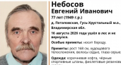 В лесах Гусь-Хрустального района пропал человек