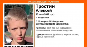 Во Владимирской области 13-летний мальчик ушел из дома и не вернулся