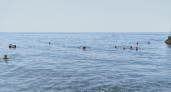 Пляжи без толп, цены ниже, чем в Сочи, и чистое море — нашёл 5 лучших курортов: хиты бархатного сезона-2026