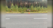 Под Гусь-Хрустальным в перевернутой в кювете иномарке нашли скончавшегося пенсионера