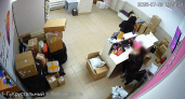 В Гусь-Хрустальном 19-летняя девушка привлекла подростка к краже телефона из ПВЗ